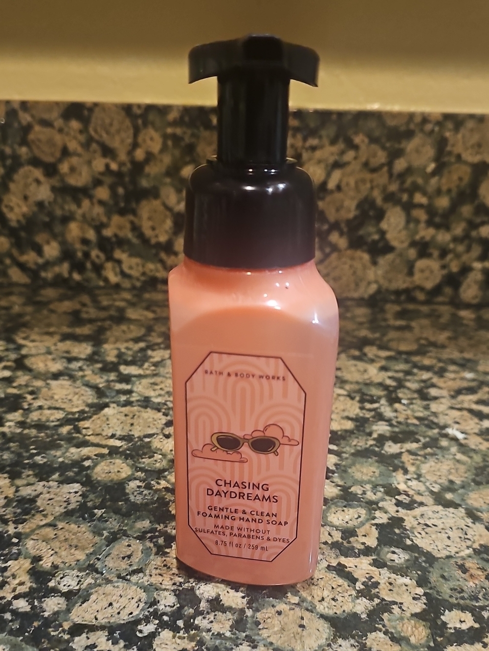 Bath & Body Works Chasing Daydreams Gentle & Clean Foaming Hand Soap